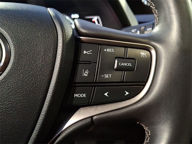 2021 Lexus UX 250h photo 25