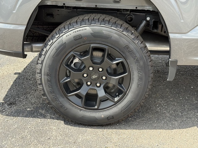 2025 Ford F-150 STX photo 10