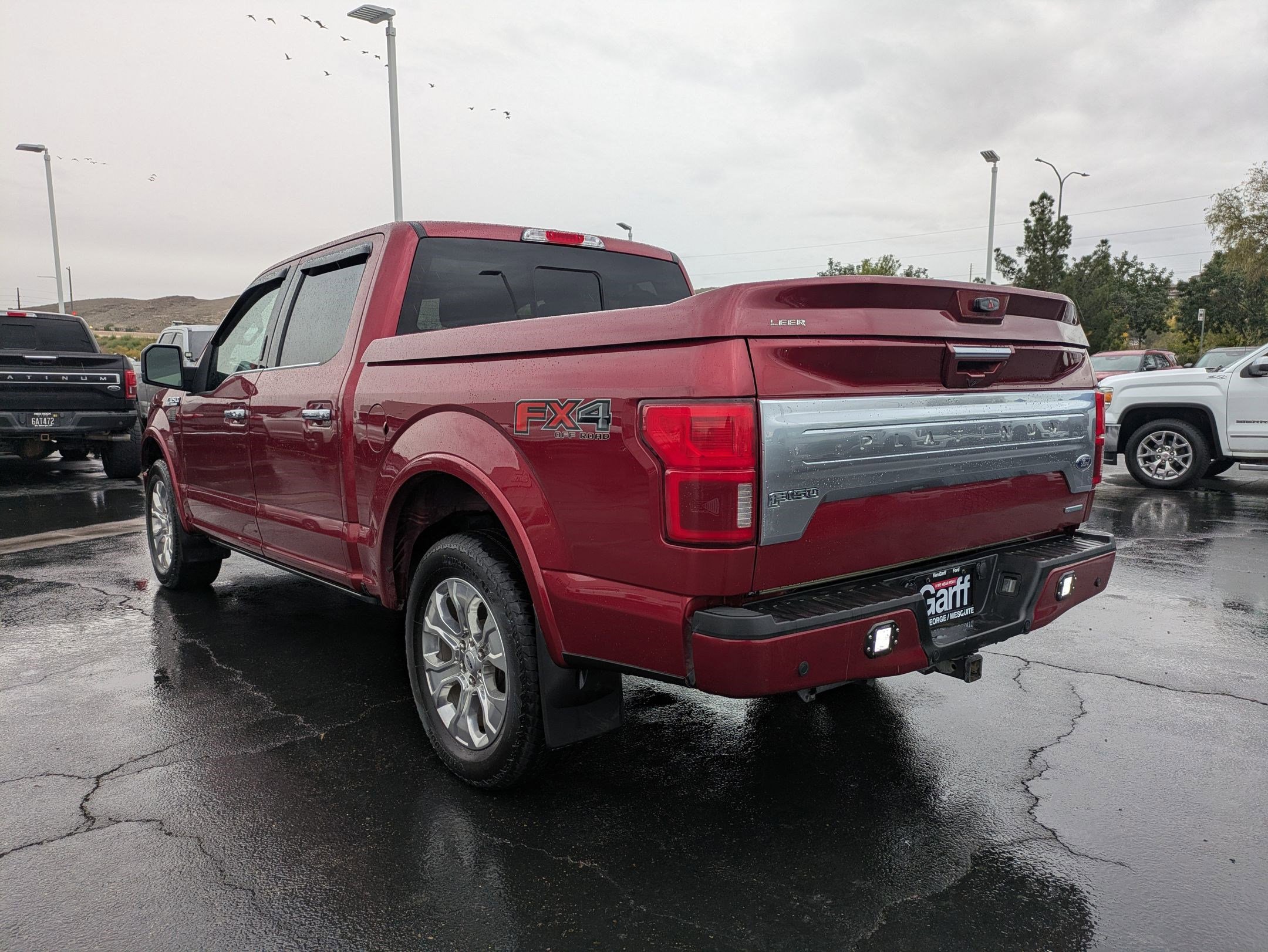 2019 Ford F-150 Platinum photo 2