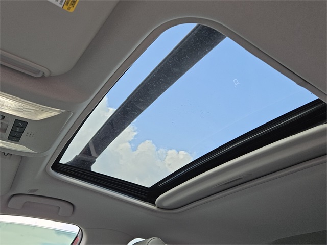 2024 Toyota RAV4 XLE Premium photo 12