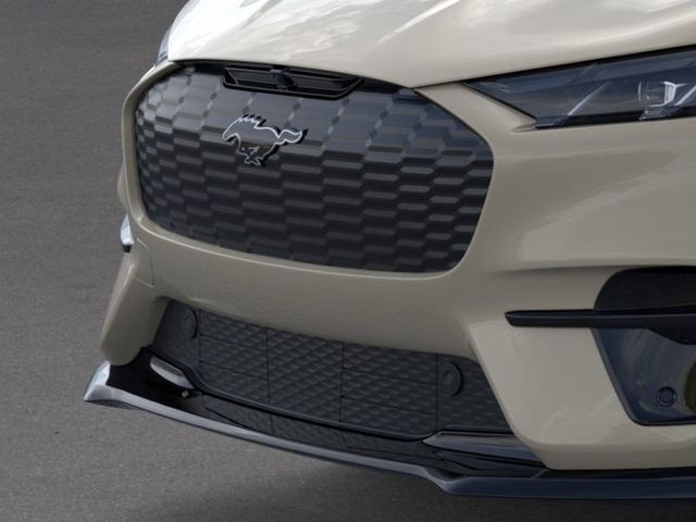 2025 Ford Mustang Mach-E GT photo 13