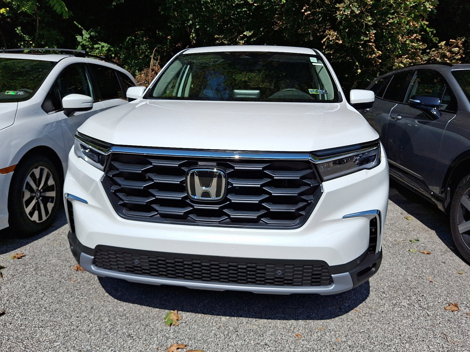 2025 Honda Pilot EX-L photo 2