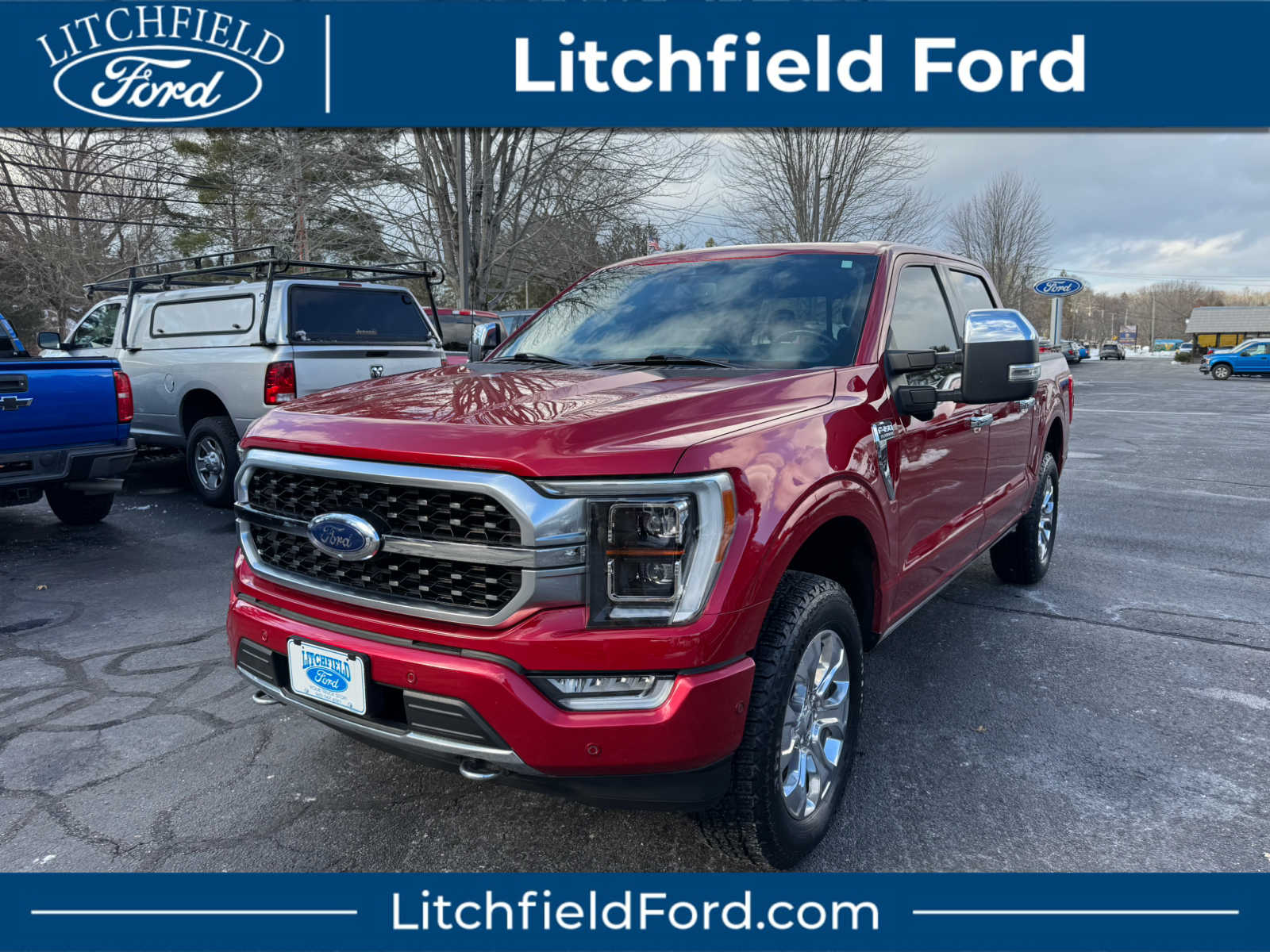 2021 Ford F-150 Platinum's photo