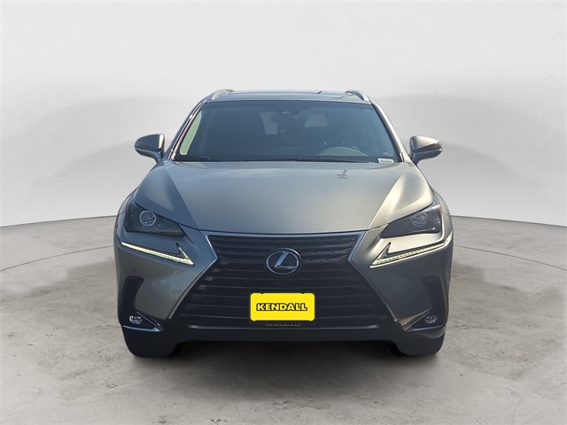 2019 Lexus NX 300h Luxury photo 8