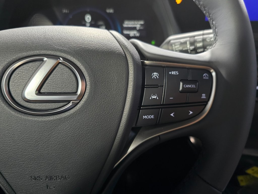 2025 Lexus UX photo 14