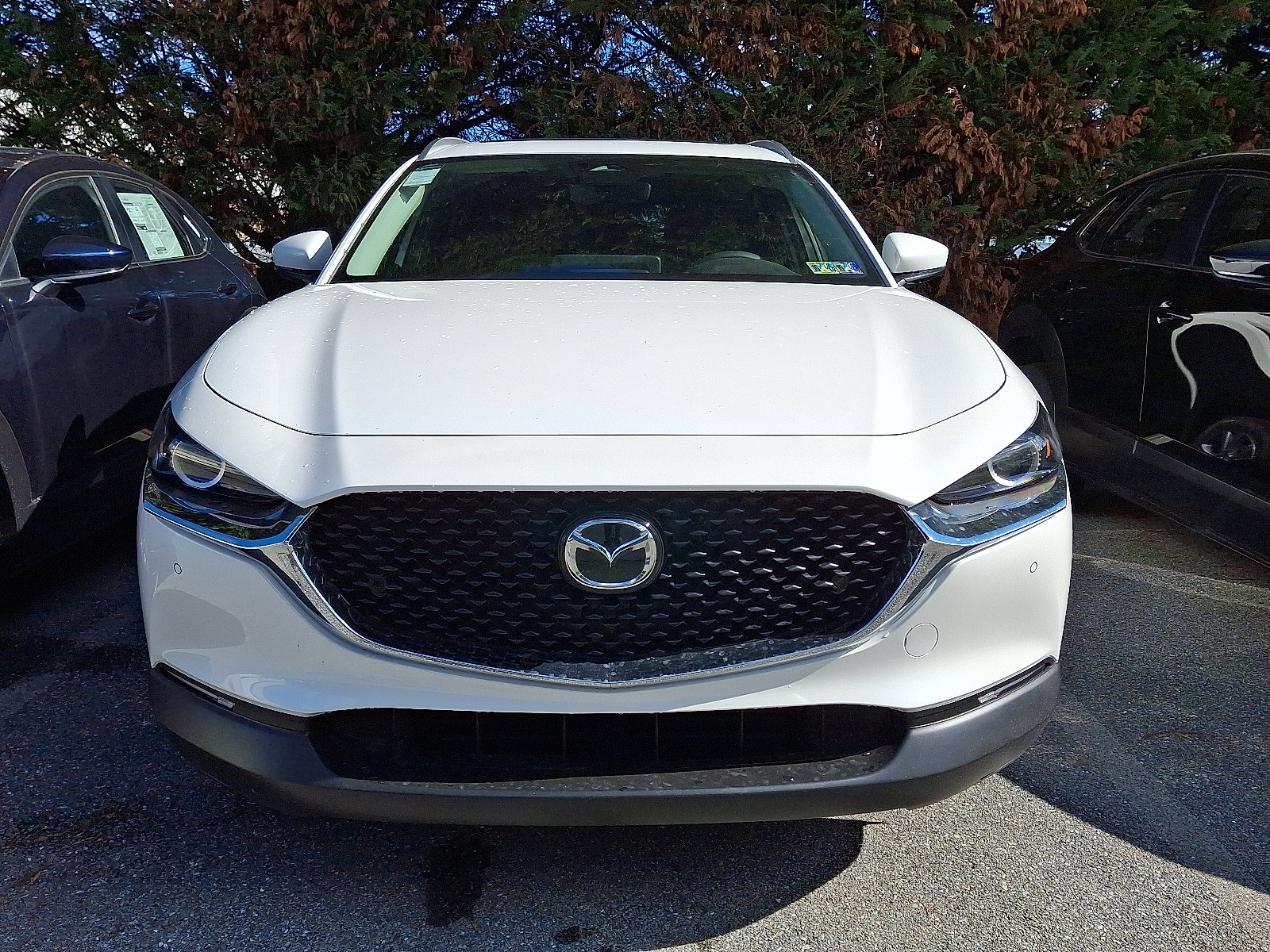 2026 Mazda CX-30 2.5 S Preferred photo 2