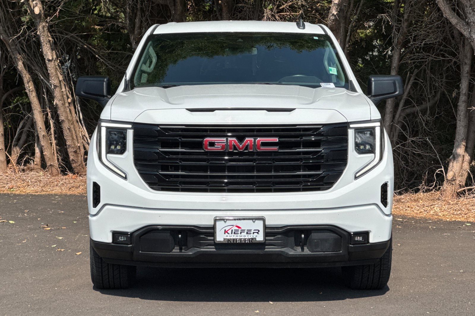 2023 Gmc Sierra 1500 Elevation photo 9