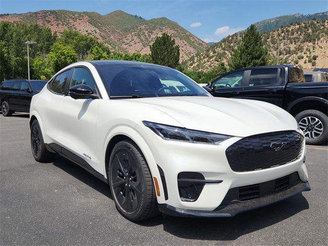 2025 Ford Mustang Mach-E GT AWD's photo