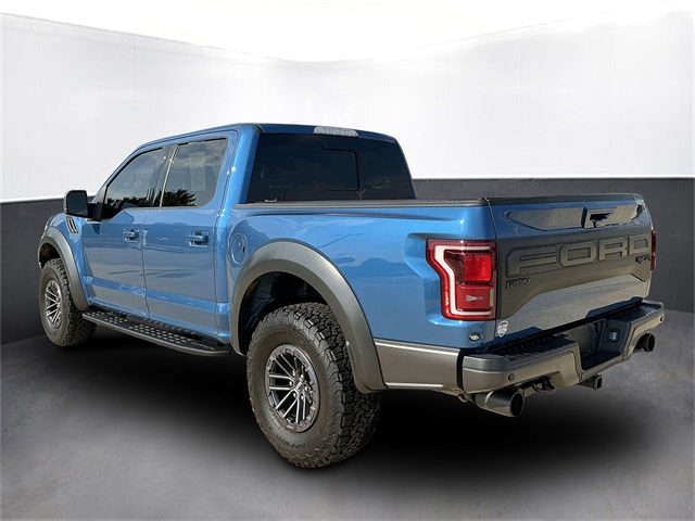 2019 Ford F-150 Raptor photo 3