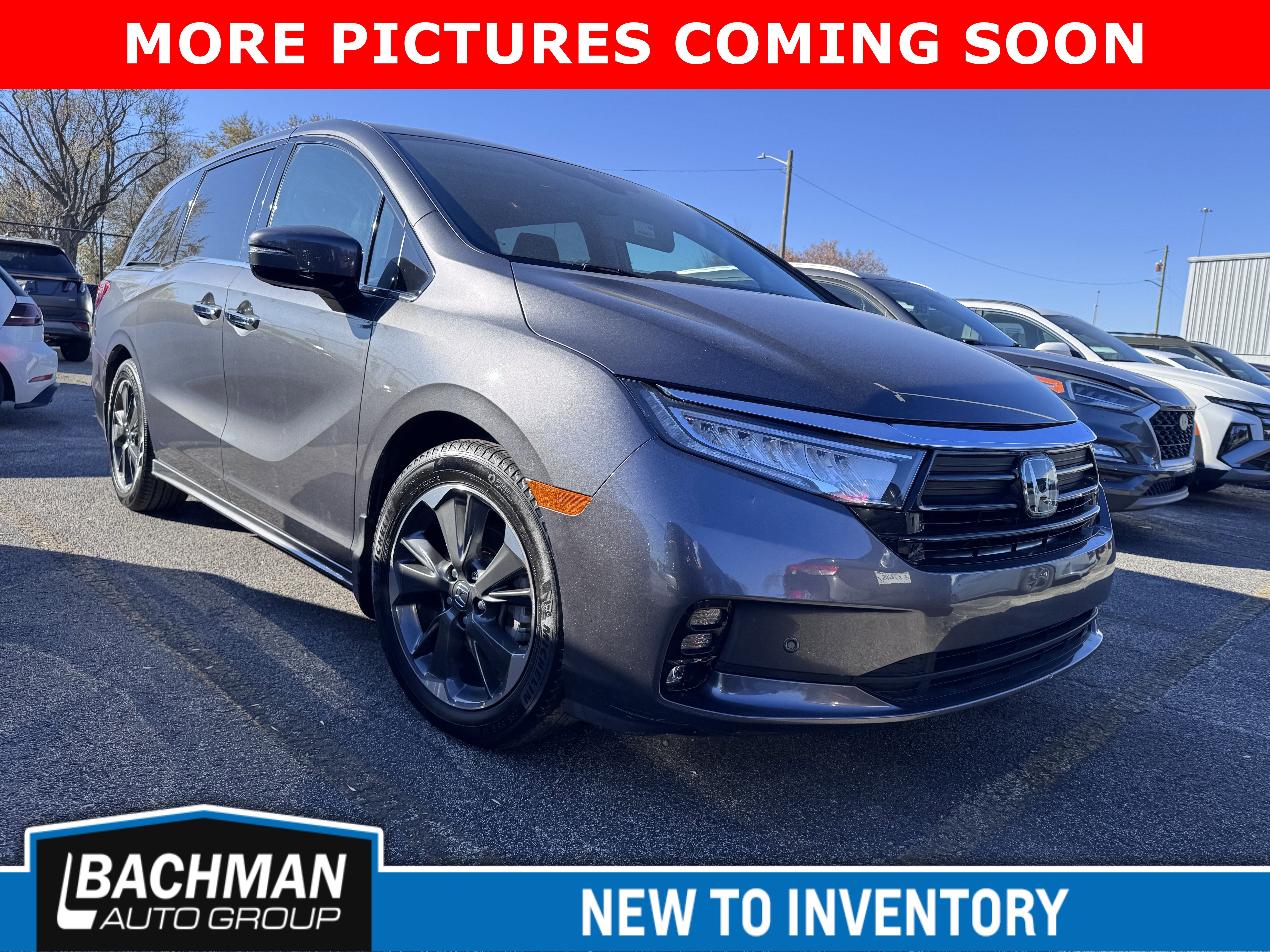 2023 Honda Odyssey Elite's photo