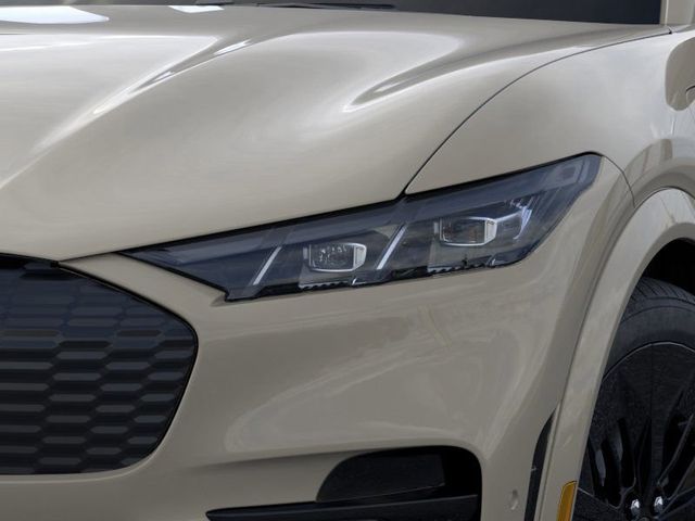 2025 Ford Mustang Mach-E GT photo 14