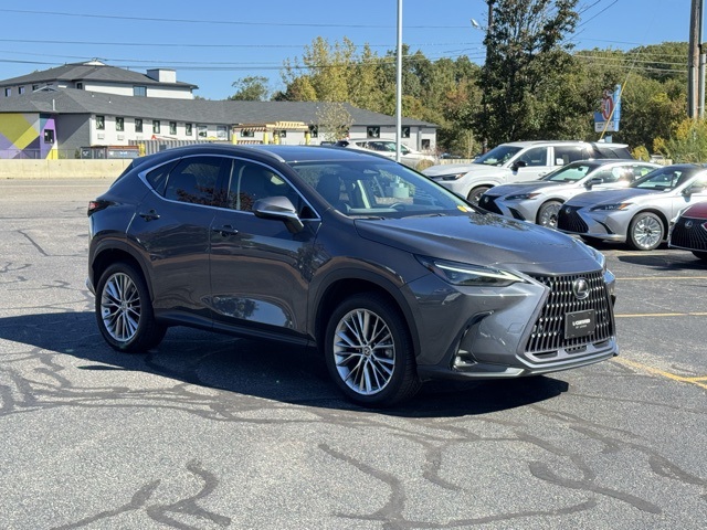 2023 Lexus NX 350 Luxury photo 7