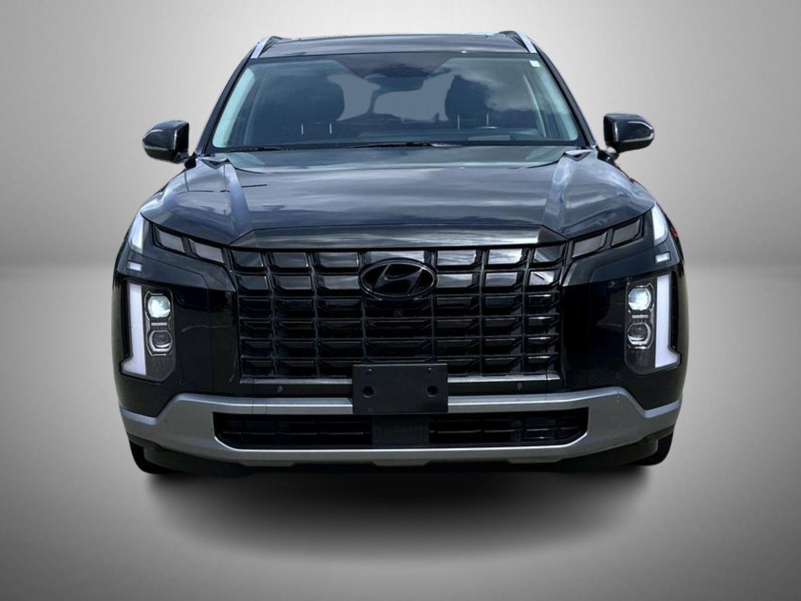 2023 Hyundai Palisade Limited photo 2