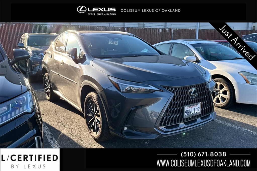 2022 Lexus NX 350's photo