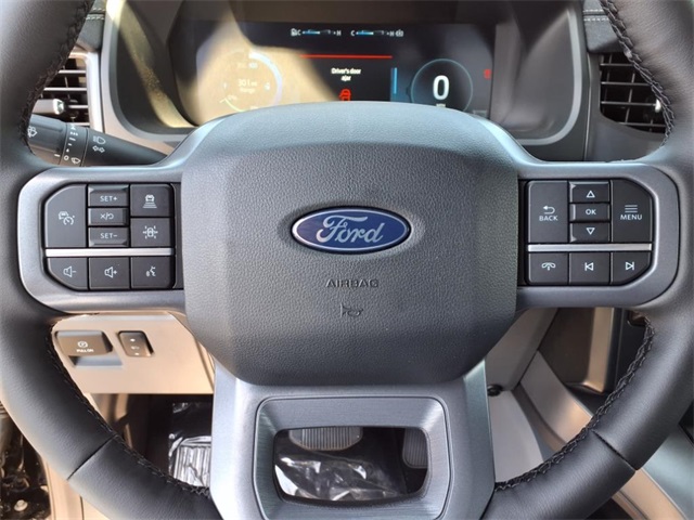 2025 Ford F-150 Lightning photo 14