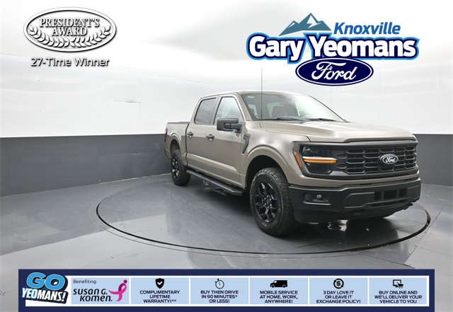 2025 Ford F-150 STX's photo