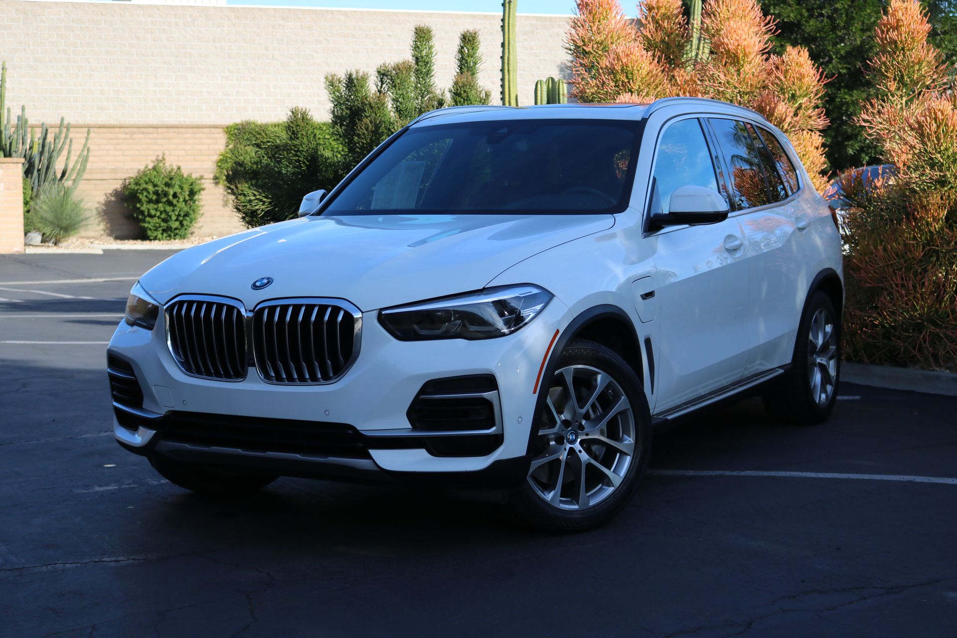 2023 BMW X5 Base's photo