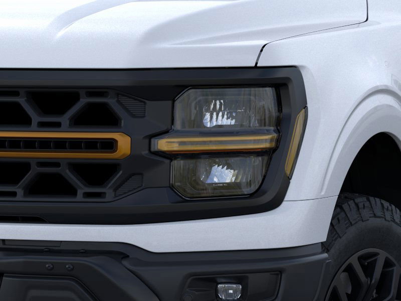 2025 Ford F-150 Tremor photo 14