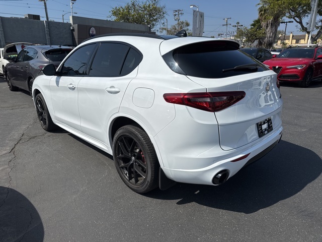 2020 Alfa Romeo Stelvio Base photo 3
