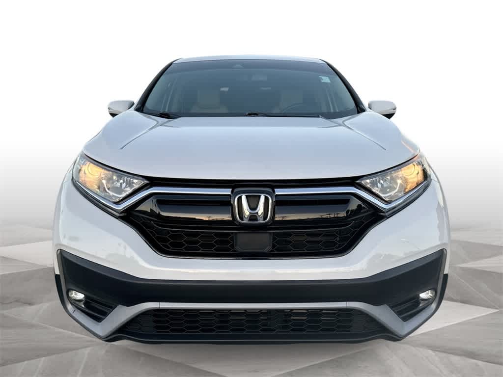 2020 Honda CR-V EX-L photo 3