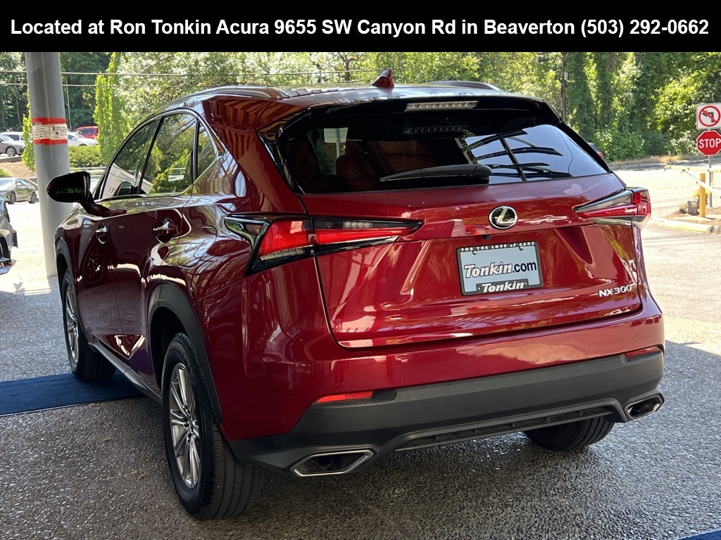 2018 Lexus NX 300 Luxury photo 5