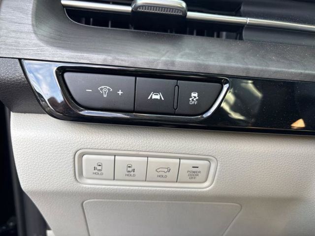 2024 Kia Carnival EX photo 15