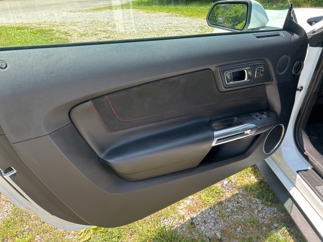 2019 Ford Mustang GT Premium photo 15