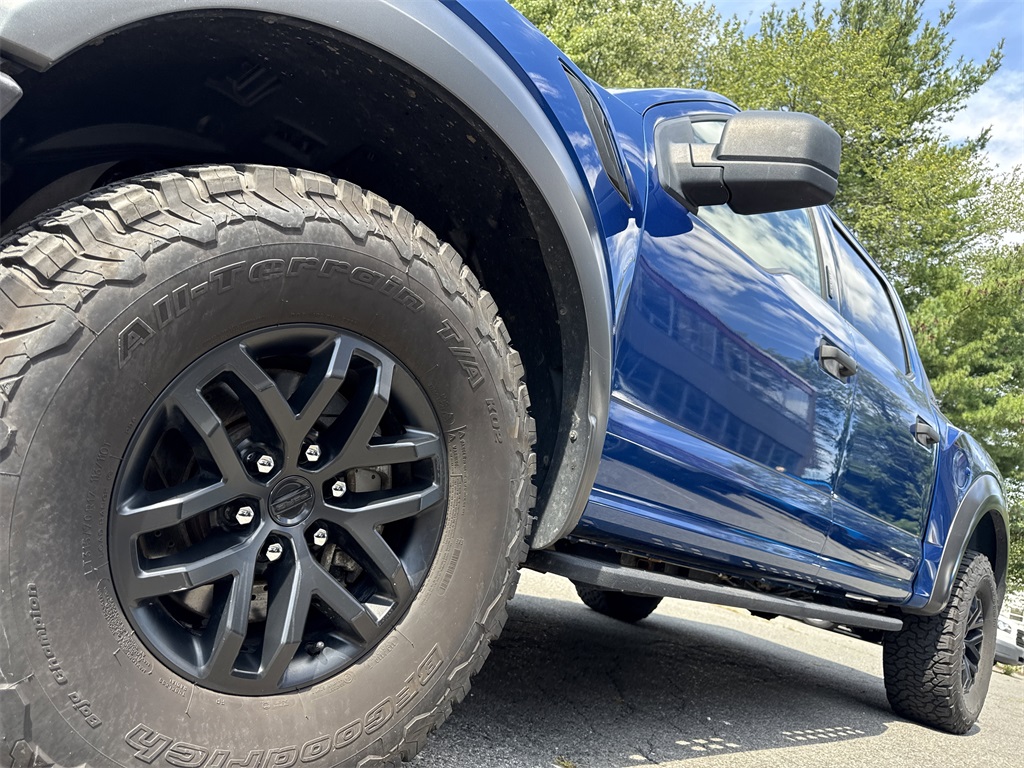 2017 Ford F-150 Raptor photo 10