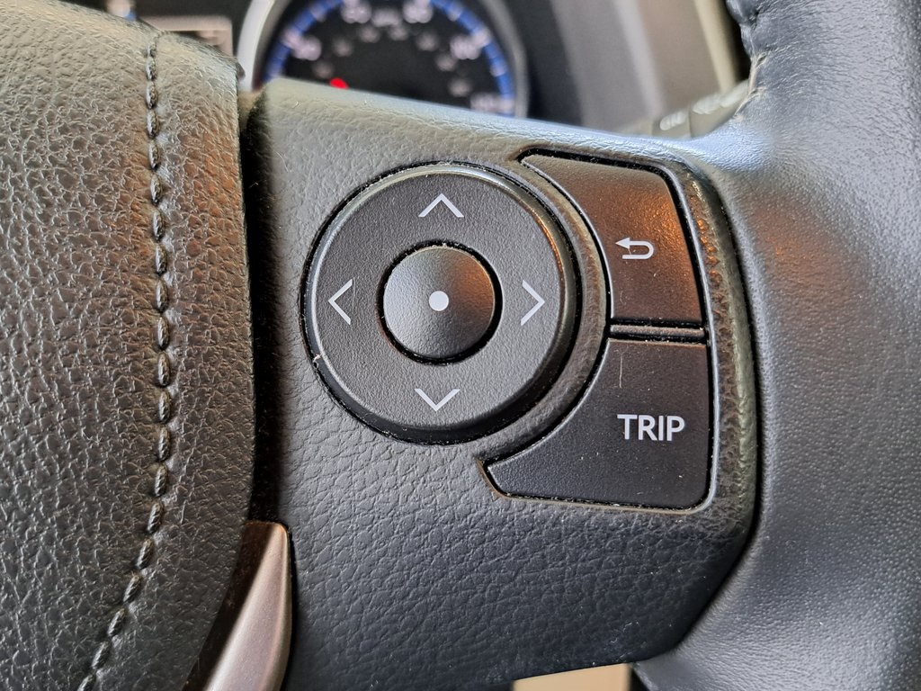2016 Toyota RAV4 XLE photo 10