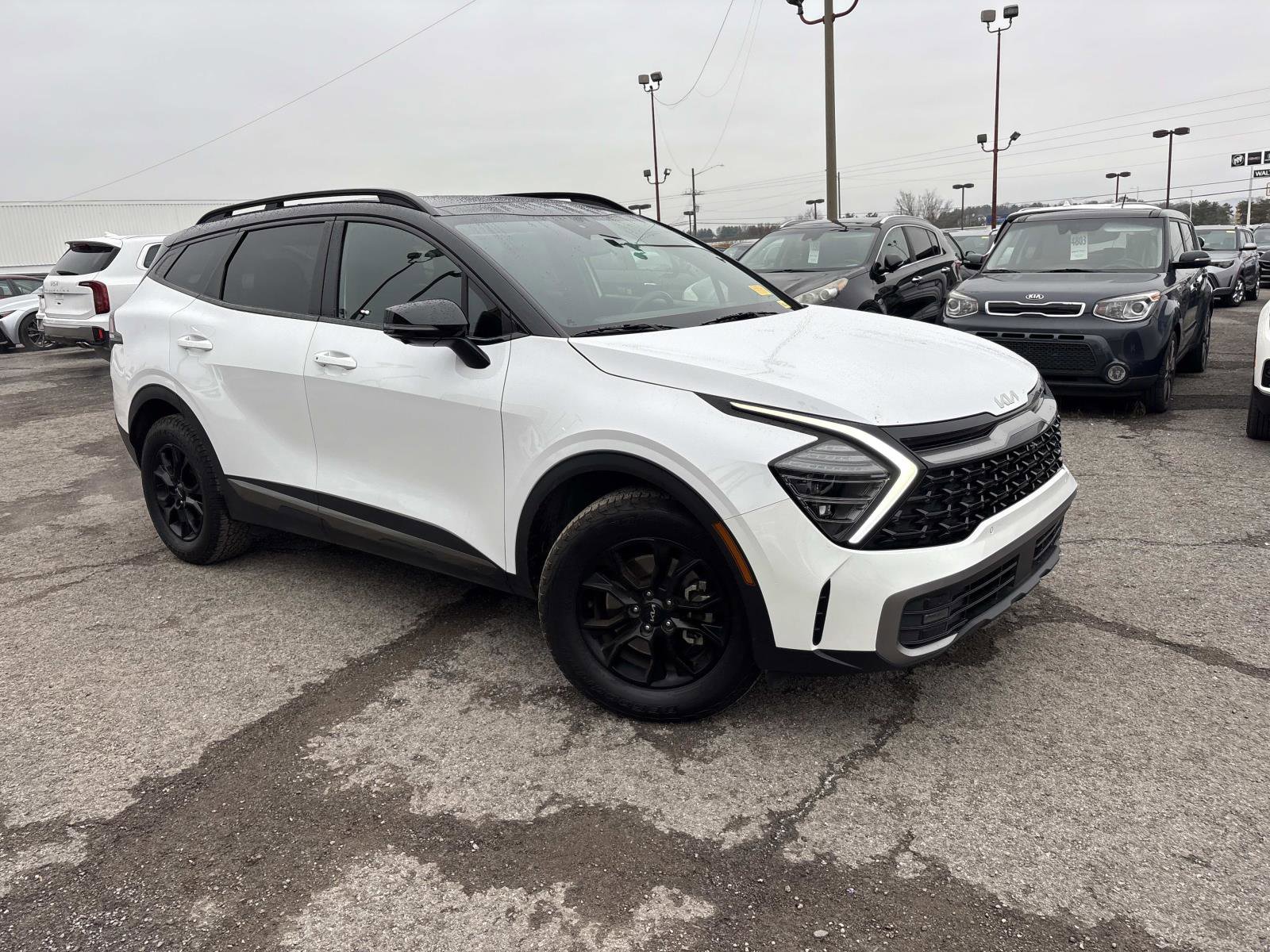 2023 Kia Sportage X-Pro Prestige's photo