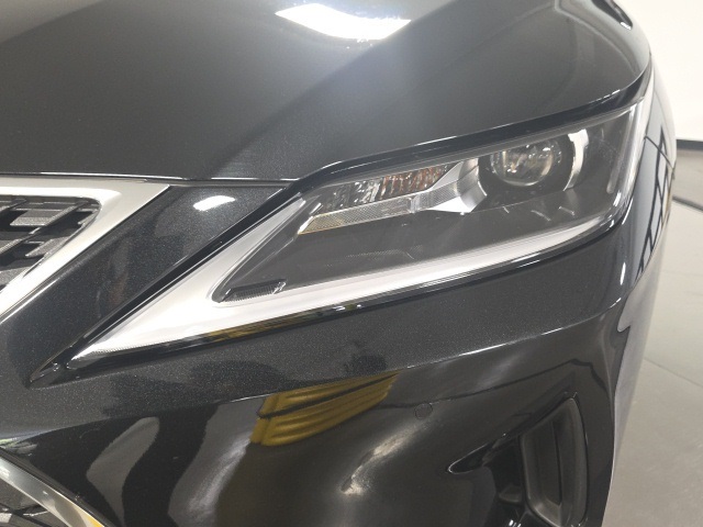 2022 Lexus RX 350 photo 23