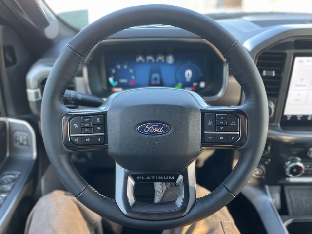 2025 Ford F-150 Platinum photo 24