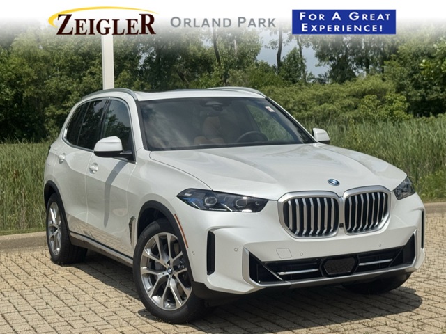 2026 BMW X5 50e's photo