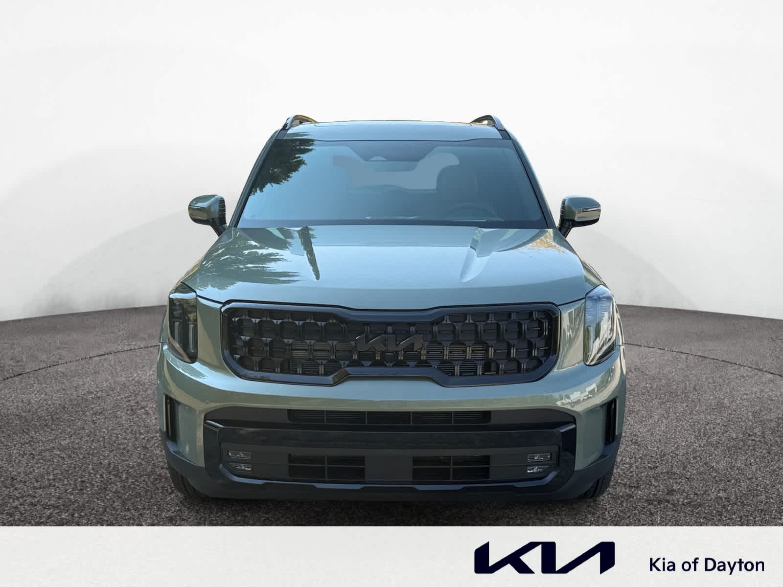 2025 Kia Telluride SX Prestige X-Line photo 8