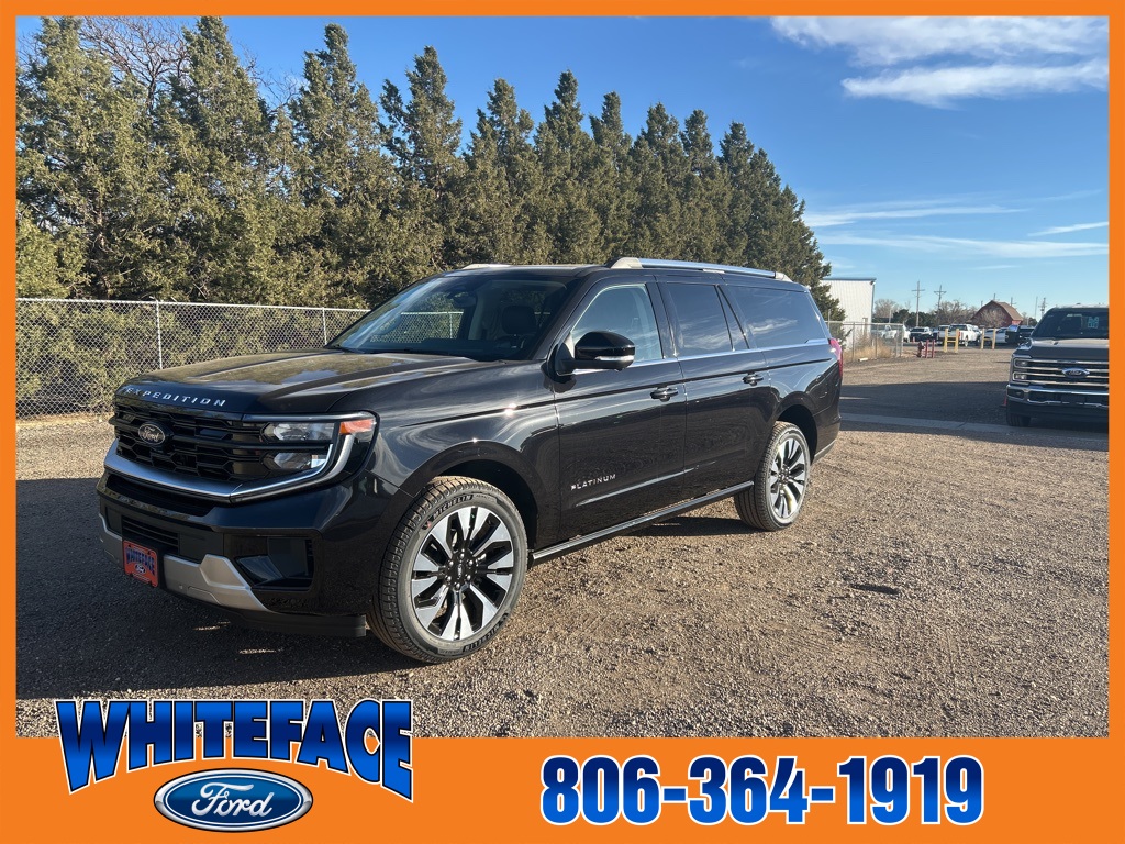 2025 Ford Expedition Platinum's photo