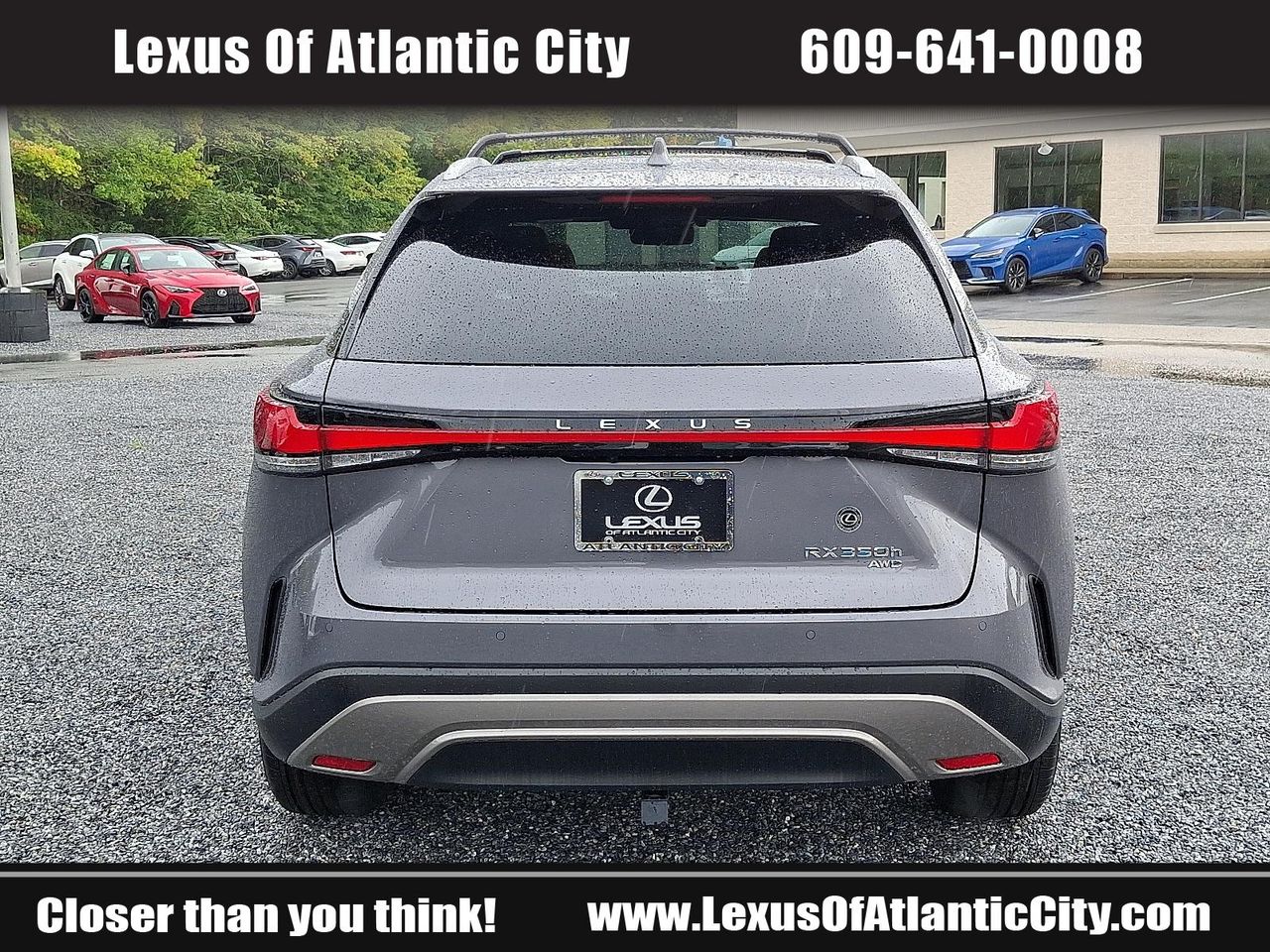 2023 Lexus RX 350h photo 5