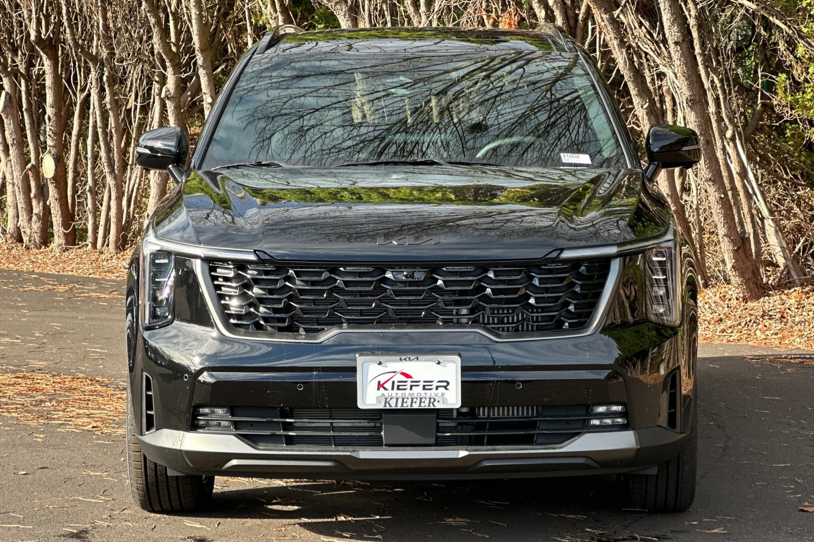 2026 Kia Sorento Hybrid X-Line SX Prestige photo 2