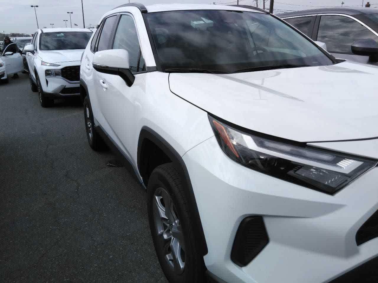 Used 2025 Toyota RAV4 XLE with VIN 2T3P1RFV9SW505259 for sale in Kansas City