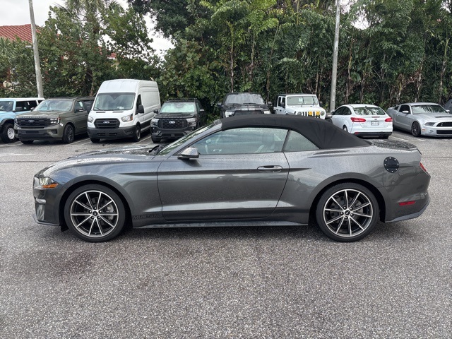 2019 Ford Mustang EcoBoost Premium photo 4