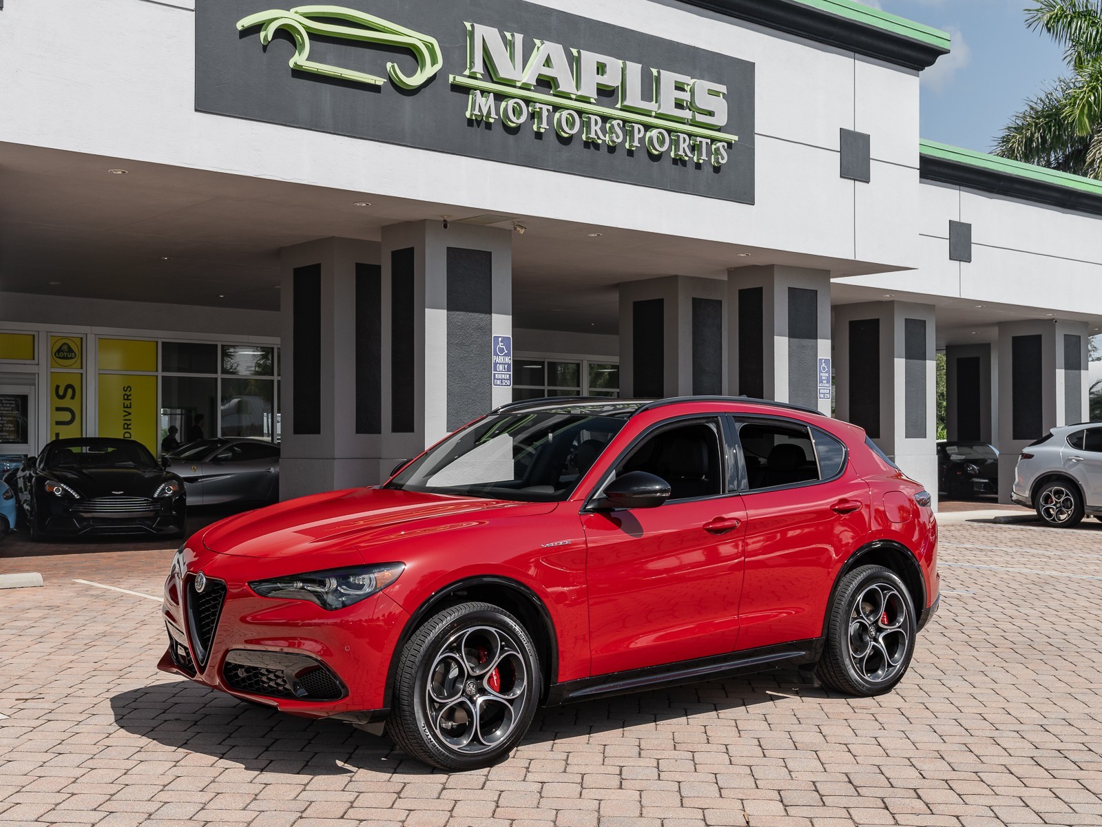2024 Alfa Romeo Stelvio photo 10
