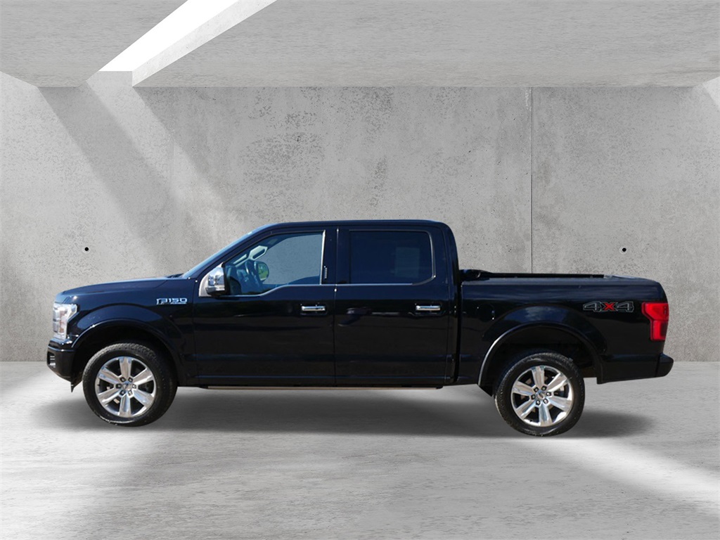 2019 Ford F-150 Platinum photo 3