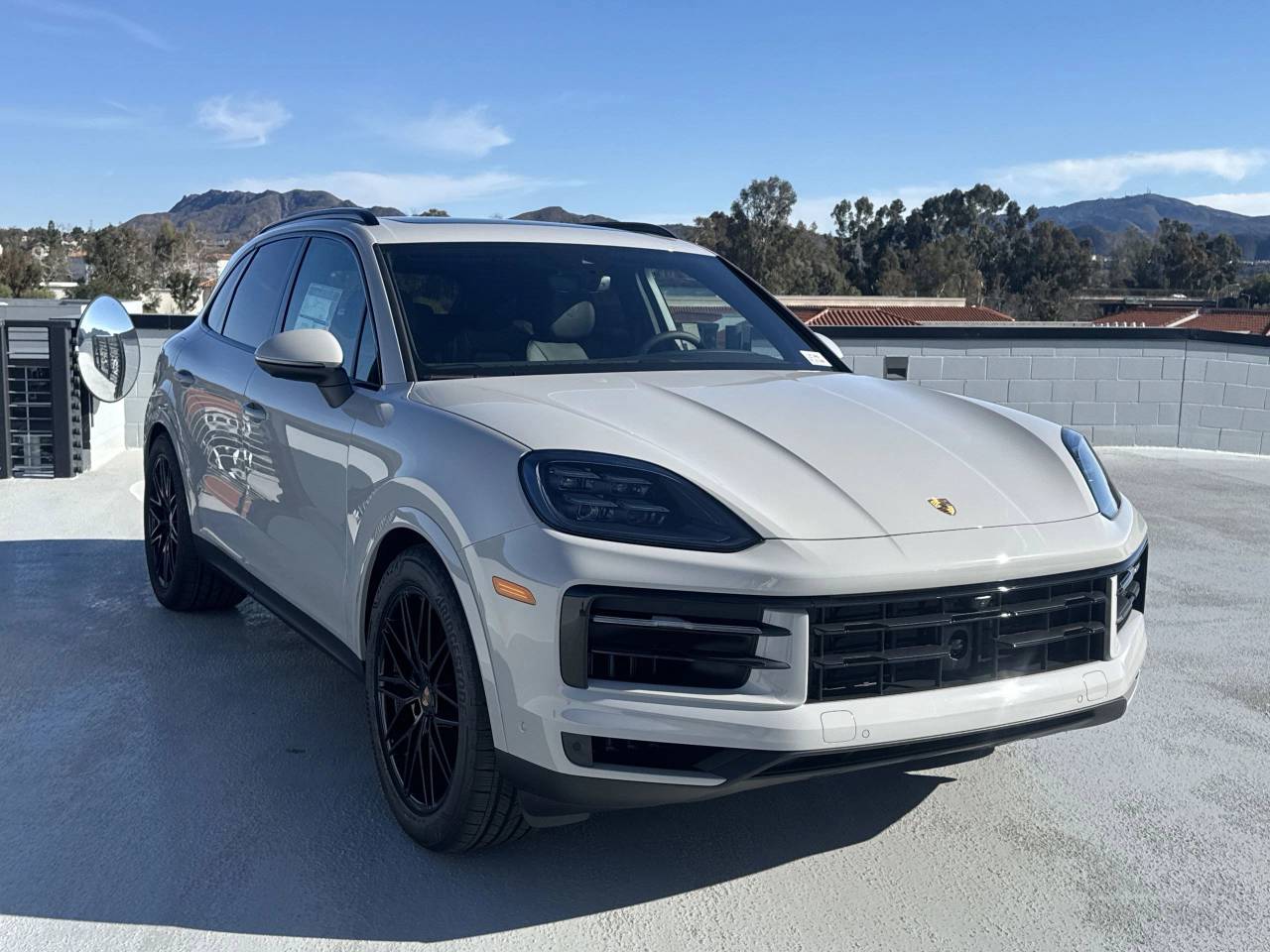 2025 Porsche Cayenne Base photo 9
