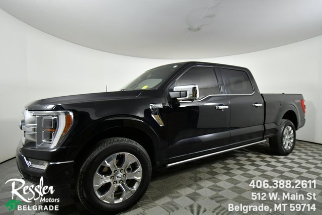 2021 Ford F-150 Platinum's photo