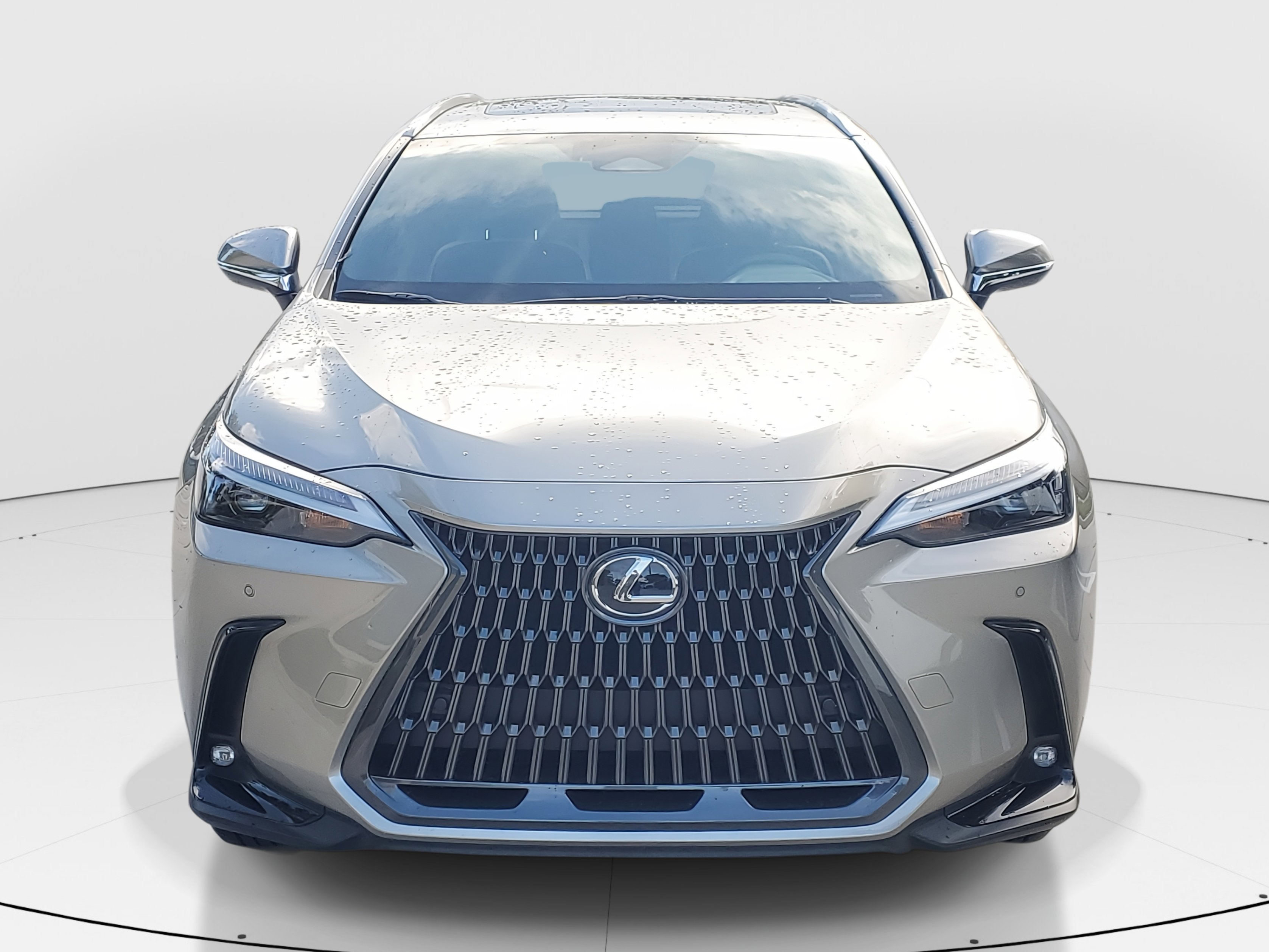2024 Lexus NX 250 Premium photo 4