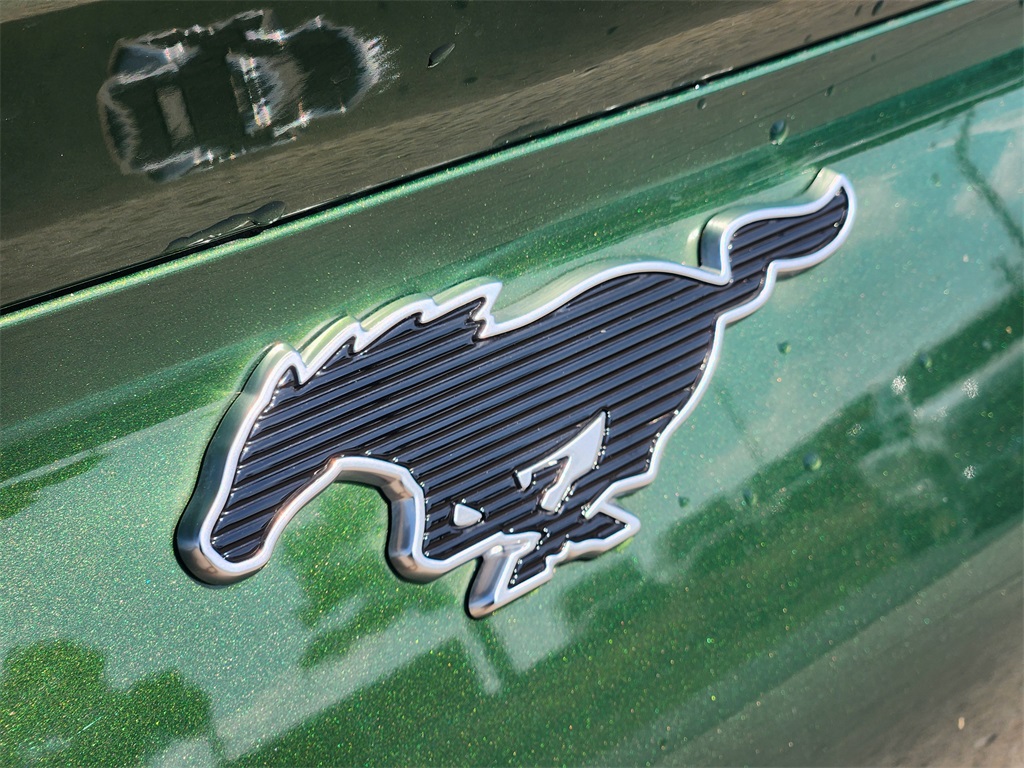 2024 Ford Mustang Mach-E Premium photo 11