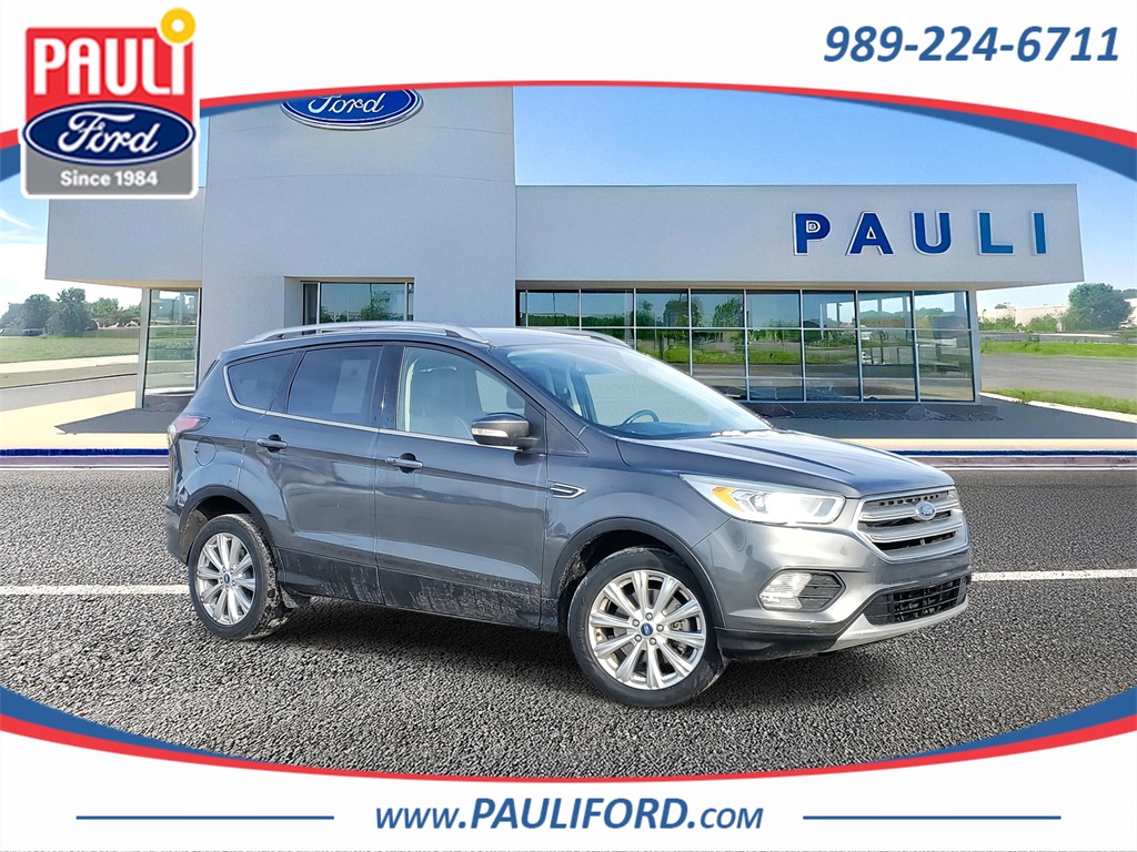 2017 Ford Escape Titanium's photo