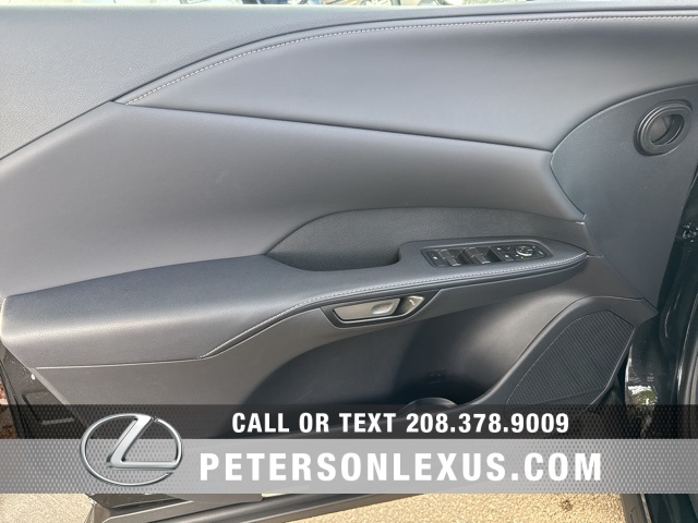 2025 Lexus RX 350 Premium photo 19