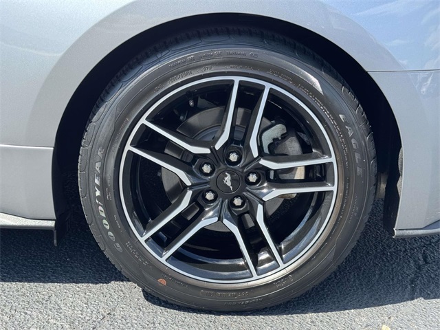 2022 Ford Mustang EcoBoost photo 12