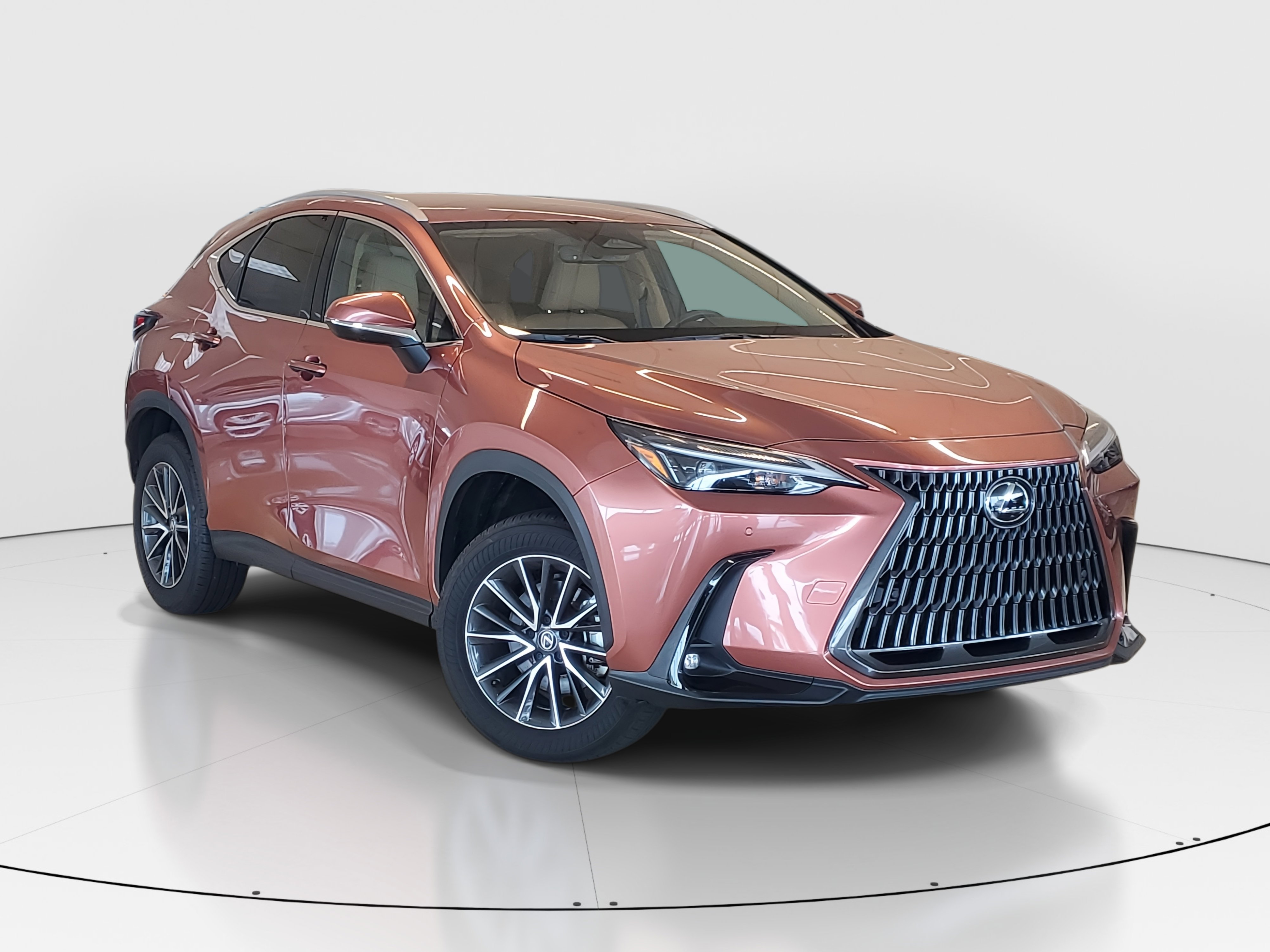 2025 Lexus NX 250 photo 2