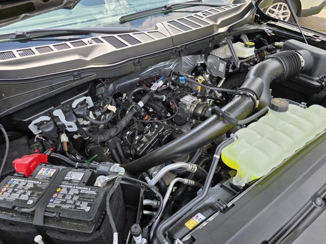 2025 Ford F-150 STX photo 26